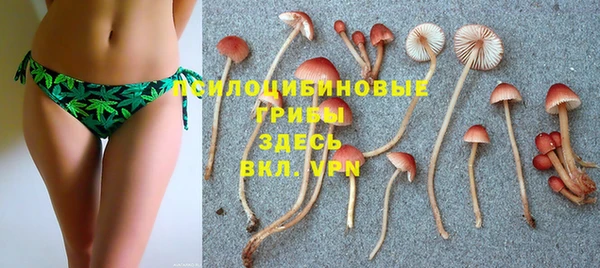 соль курить ск Абаза